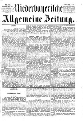 Niederbayerische allgemeine Zeitung Samstag 10. Juli 1875