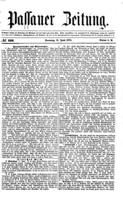 Passauer Zeitung Sonntag 13. Juni 1875