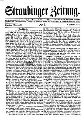 Straubinger Zeitung Dienstag 5. Januar 1875