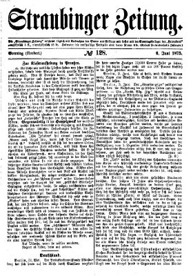 Straubinger Zeitung Sonntag 6. Juni 1875