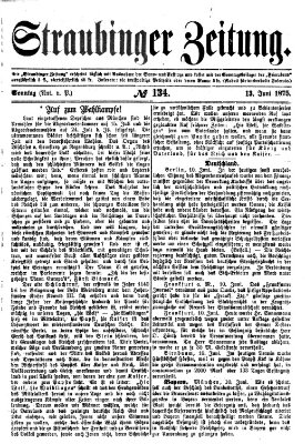 Straubinger Zeitung Sonntag 13. Juni 1875