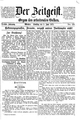 Der Zeitgeist Samstag 5. Juni 1875