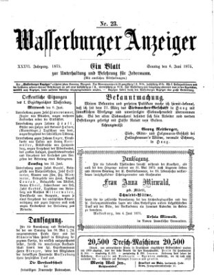 Wasserburger Anzeiger (Wasserburger Wochenblatt) Sonntag 6. Juni 1875
