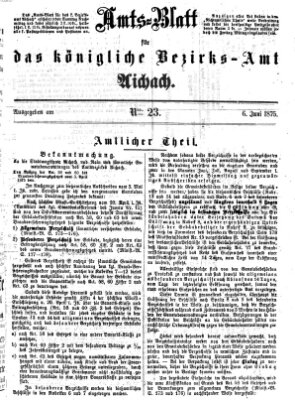 Amtsblatt für das Bezirksamt und Amtsgericht Aichach Sonntag 6. Juni 1875