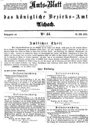 Amtsblatt für das Bezirksamt und Amtsgericht Aichach Sonntag 31. Oktober 1875