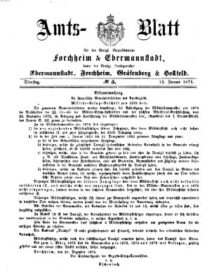 Amtsblatt für die Königlichen Bezirksämter Forchheim und Ebermannstadt sowie für die Königliche Stadt Forchheim Dienstag 12. Januar 1875