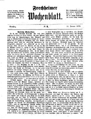 Amtsblatt für die Königlichen Bezirksämter Forchheim und Ebermannstadt sowie für die Königliche Stadt Forchheim Samstag 16. Januar 1875