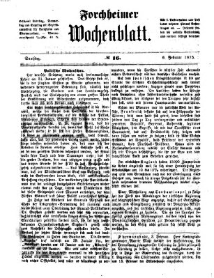 Amtsblatt für die Königlichen Bezirksämter Forchheim und Ebermannstadt sowie für die Königliche Stadt Forchheim Samstag 6. Februar 1875