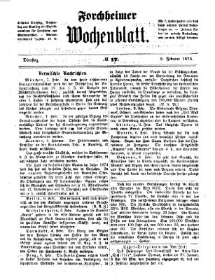 Amtsblatt für die Königlichen Bezirksämter Forchheim und Ebermannstadt sowie für die Königliche Stadt Forchheim Dienstag 9. Februar 1875