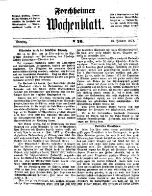 Amtsblatt für die Königlichen Bezirksämter Forchheim und Ebermannstadt sowie für die Königliche Stadt Forchheim Dienstag 16. Februar 1875