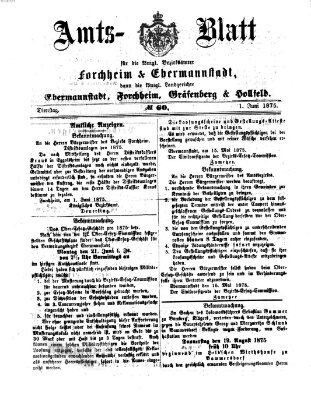 Amtsblatt für die Königlichen Bezirksämter Forchheim und Ebermannstadt sowie für die Königliche Stadt Forchheim Dienstag 1. Juni 1875