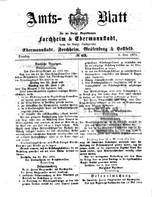 Amtsblatt für die Königlichen Bezirksämter Forchheim und Ebermannstadt sowie für die Königliche Stadt Forchheim Dienstag 8. Juni 1875