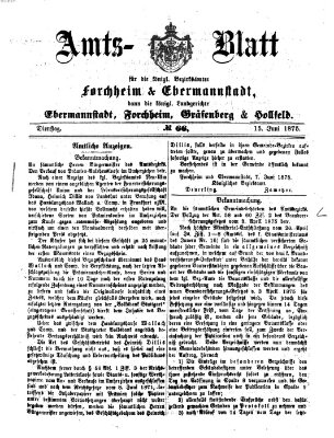 Amtsblatt für die Königlichen Bezirksämter Forchheim und Ebermannstadt sowie für die Königliche Stadt Forchheim Dienstag 15. Juni 1875