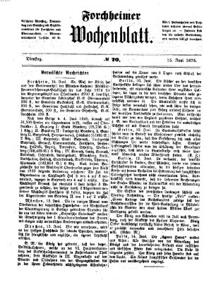 Amtsblatt für die Königlichen Bezirksämter Forchheim und Ebermannstadt sowie für die Königliche Stadt Forchheim Dienstag 15. Juni 1875