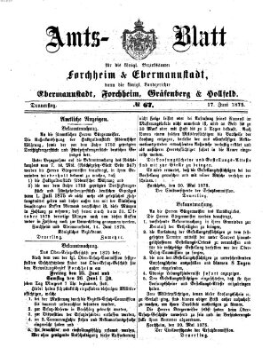 Amtsblatt für die Königlichen Bezirksämter Forchheim und Ebermannstadt sowie für die Königliche Stadt Forchheim Donnerstag 17. Juni 1875