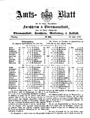 Amtsblatt für die Königlichen Bezirksämter Forchheim und Ebermannstadt sowie für die Königliche Stadt Forchheim Samstag 19. Juni 1875