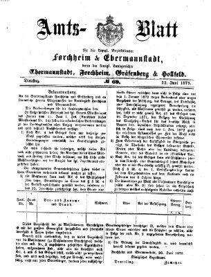 Amtsblatt für die Königlichen Bezirksämter Forchheim und Ebermannstadt sowie für die Königliche Stadt Forchheim Dienstag 22. Juni 1875