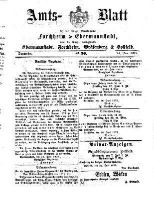 Amtsblatt für die Königlichen Bezirksämter Forchheim und Ebermannstadt sowie für die Königliche Stadt Forchheim Donnerstag 24. Juni 1875