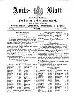 Amtsblatt für die Königlichen Bezirksämter Forchheim und Ebermannstadt sowie für die Königliche Stadt Forchheim Dienstag 7. Dezember 1875