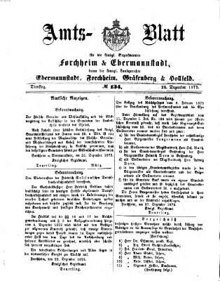 Amtsblatt für die Königlichen Bezirksämter Forchheim und Ebermannstadt sowie für die Königliche Stadt Forchheim Dienstag 28. Dezember 1875