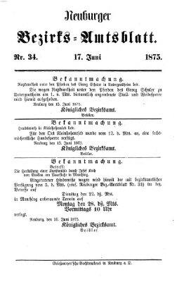 Neuburger Bezirks-Amtsblatt Donnerstag 17. Juni 1875