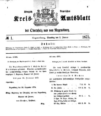 Königlich-bayerisches Kreis-Amtsblatt der Oberpfalz und von Regensburg (Königlich bayerisches Intelligenzblatt für die Oberpfalz und von Regensburg) Samstag 2. Januar 1875