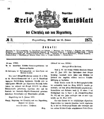 Königlich-bayerisches Kreis-Amtsblatt der Oberpfalz und von Regensburg (Königlich bayerisches Intelligenzblatt für die Oberpfalz und von Regensburg) Mittwoch 13. Januar 1875