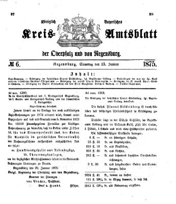 Königlich-bayerisches Kreis-Amtsblatt der Oberpfalz und von Regensburg (Königlich bayerisches Intelligenzblatt für die Oberpfalz und von Regensburg) Samstag 23. Januar 1875