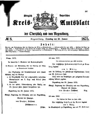 Königlich-bayerisches Kreis-Amtsblatt der Oberpfalz und von Regensburg (Königlich bayerisches Intelligenzblatt für die Oberpfalz und von Regensburg) Samstag 30. Januar 1875