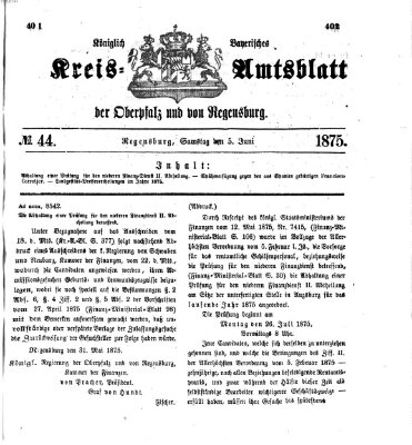 Königlich-bayerisches Kreis-Amtsblatt der Oberpfalz und von Regensburg (Königlich bayerisches Intelligenzblatt für die Oberpfalz und von Regensburg) Samstag 5. Juni 1875