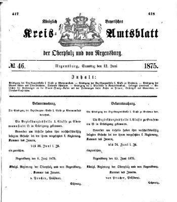 Königlich-bayerisches Kreis-Amtsblatt der Oberpfalz und von Regensburg (Königlich bayerisches Intelligenzblatt für die Oberpfalz und von Regensburg) Samstag 12. Juni 1875