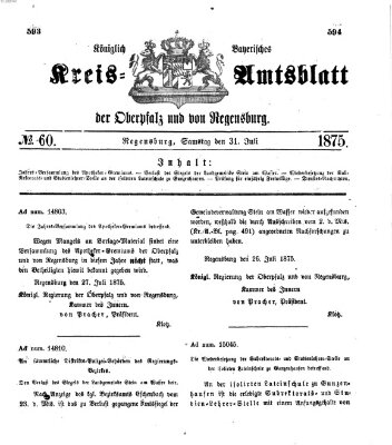 Königlich-bayerisches Kreis-Amtsblatt der Oberpfalz und von Regensburg (Königlich bayerisches Intelligenzblatt für die Oberpfalz und von Regensburg) Samstag 31. Juli 1875