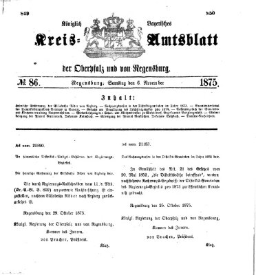 Königlich-bayerisches Kreis-Amtsblatt der Oberpfalz und von Regensburg (Königlich bayerisches Intelligenzblatt für die Oberpfalz und von Regensburg) Samstag 6. November 1875