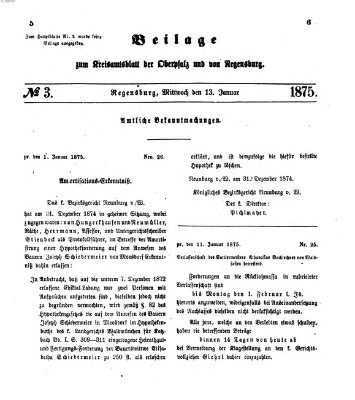 Königlich-bayerisches Kreis-Amtsblatt der Oberpfalz und von Regensburg (Königlich bayerisches Intelligenzblatt für die Oberpfalz und von Regensburg) Mittwoch 13. Januar 1875