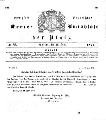 Königlich-bayerisches Kreis-Amtsblatt der Pfalz (Königlich bayerisches Amts- und Intelligenzblatt für die Pfalz) Samstag 19. Juni 1875