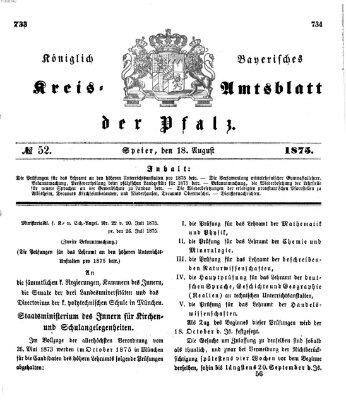 Königlich-bayerisches Kreis-Amtsblatt der Pfalz (Königlich bayerisches Amts- und Intelligenzblatt für die Pfalz) Mittwoch 18. August 1875