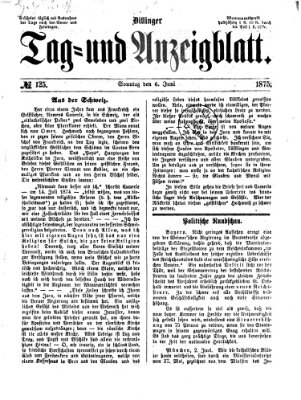 Dillinger Tag- und Anzeigeblatt (Tagblatt für die Städte Dillingen, Lauingen, Höchstädt, Wertingen und Gundelfingen) Sonntag 6. Juni 1875