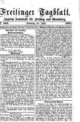 Freisinger Tagblatt (Freisinger Wochenblatt) Sonntag 20. Juni 1875