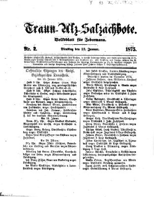 Traun-Alz-Salzachbote Dienstag 12. Januar 1875