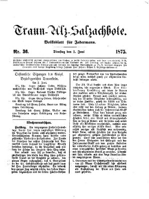 Traun-Alz-Salzachbote Dienstag 1. Juni 1875