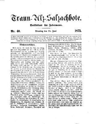 Traun-Alz-Salzachbote Dienstag 15. Juni 1875