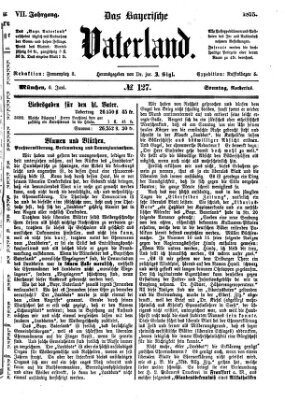 Das bayerische Vaterland Sonntag 6. Juni 1875