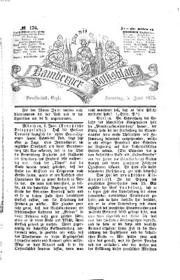 Bamberger Volksblatt Samstag 5. Juni 1875