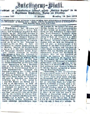 Aschaffenburger Zeitung. Intelligenz-Blatt : Beiblatt zur Aschaffenburger Zeitung ; zugleich amtlicher Anzeiger für die K. Bezirksämter Aschaffenburg, Alzenau und Obernburg (Aschaffenburger Zeitung) Samstag 19. Juni 1875