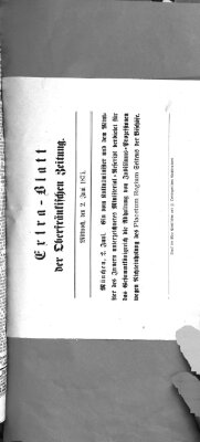 Oberfränkische Zeitung und Bayreuther Anzeiger (Bayreuther Anzeiger) Mittwoch 2. Juni 1875