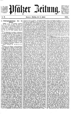 Pfälzer Zeitung Dienstag 12. Januar 1875