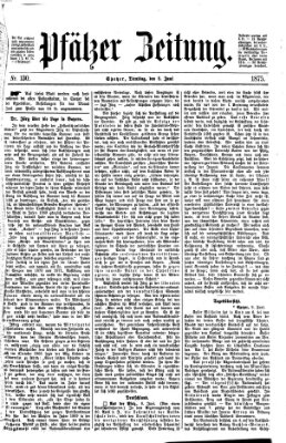 Pfälzer Zeitung Dienstag 8. Juni 1875