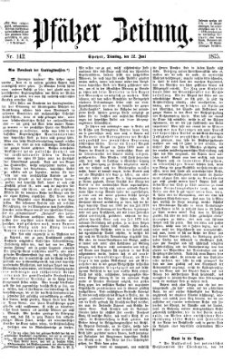 Pfälzer Zeitung Dienstag 22. Juni 1875