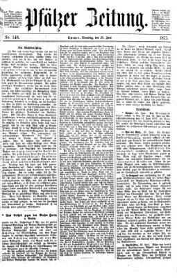 Pfälzer Zeitung Dienstag 29. Juni 1875