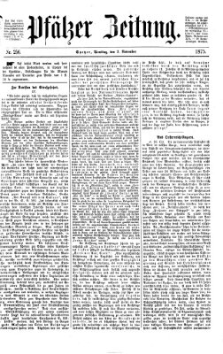 Pfälzer Zeitung Dienstag 2. November 1875